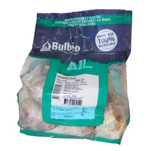 Pour vos projets extérieurs:Ail violet germidour filet de 500 g calibre 60+