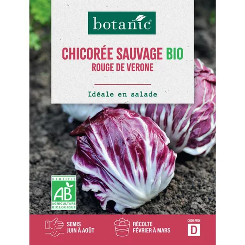 Pratique dehors:Graines de Chicorée sauvage rouge de Vérone bio botanic® - graines à semer