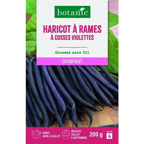 Pour un extérieur accueillant:Graines d'haricot à rames à cosses violettes botanic® - graines à semer