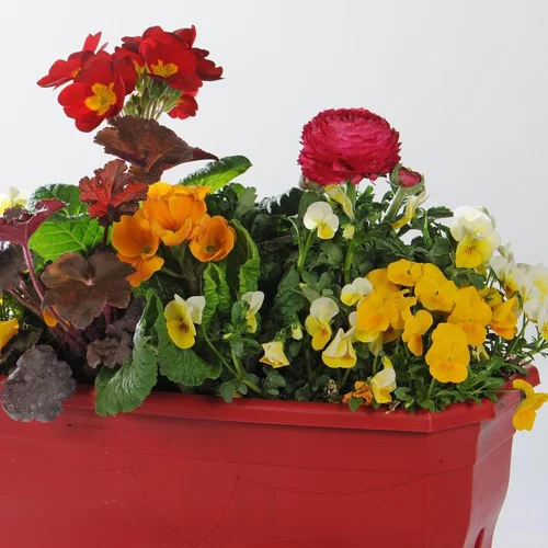 Utile dehors：Jardinière variée - La jardinette de 25 cm