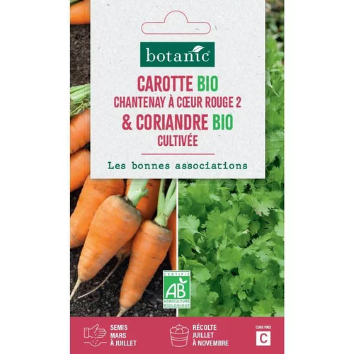 Utile pour le jardin：Mélange de graines carotte de chantenay à coeur rouge bio et de coriandre cultivée bio botanic® - graines à semer
