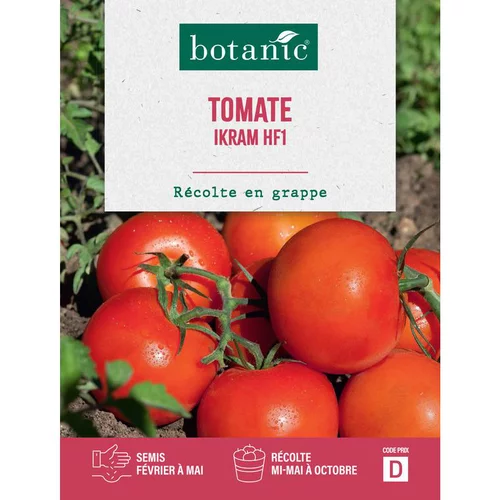 Sélection extérieur：Graines de tomate ikram F1 botanic® - graines à semer