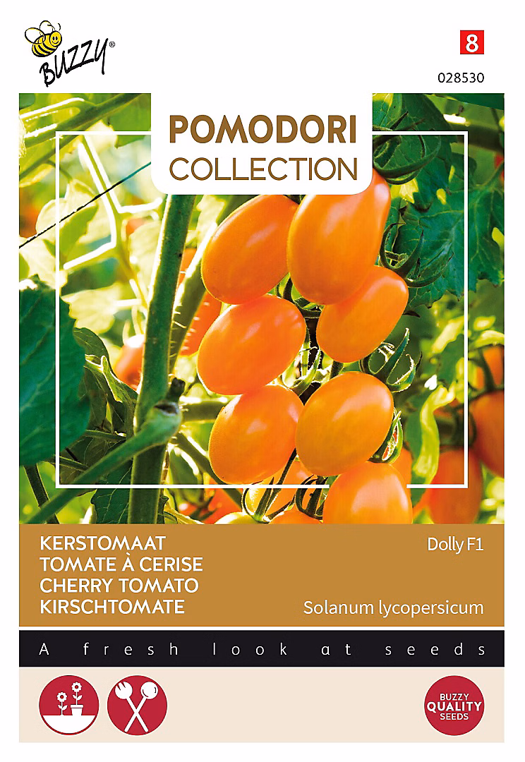 Buzzy Pomodori Tomate a Cerise Dolly F1 Semences – Ca. 7 graines