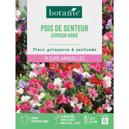 Qualité au jardin:Graines de fleurs de Pois de senteur cupidon varié botanic®