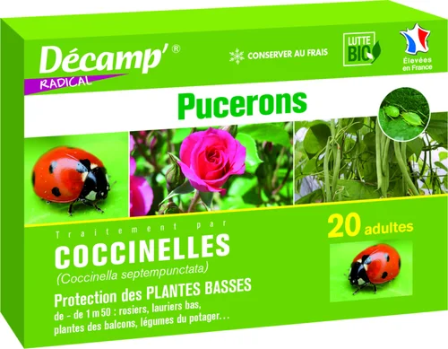 Une solution pratique pour l’extérieur:Coccinelles Septempunctata 20 adultes