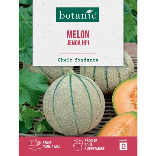Malin au jardin：Graines de melon jenga hybride f1 botanic® - graines jenga semer