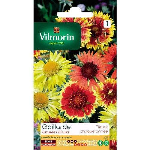 Une solution pratique pour le jardin：Gaillarde Grandes fleurs Vilmorin - graines à semer