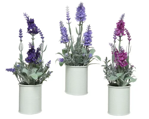Jardin à adopter：Pot de lavande coloris violet - 10 x 10 x 26 cm