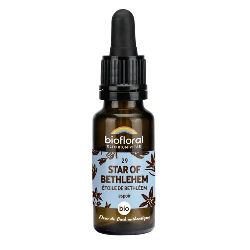 Sélection jardin:Élixir n°29 Biofloral d’étoile de Bethléem en flacon de 20 ml