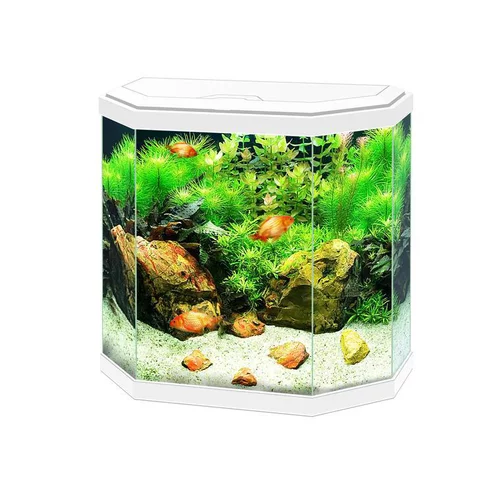Pour compléter votre jardin:Aquarium équipé 30 Light blanc - 30L