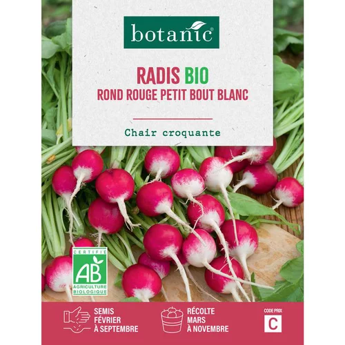 Confort dehors：Graines de radis rond rouge à petit bout blanc bio botanic® - graines à semer