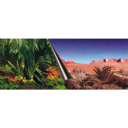 Pratique dehors:Poster jungle – désert 120x50 cm
