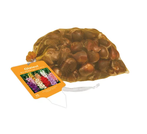 Extérieur solution:Filet de 75 bulbes de glaïeuls