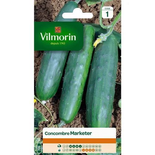 Pour profiter pleinement du jardin:Graines de Concombre Marketer Vilmorin - graines à semer