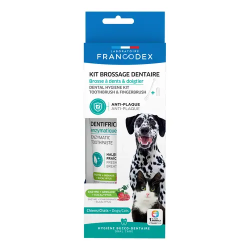 Une touche extérieure：Kit de brossage des dents pour chiens