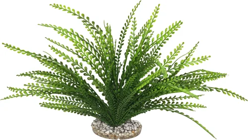 Jardin & solutions:Plante artificielle pour aquarium coloris vert LABEO Elodea Corolle
