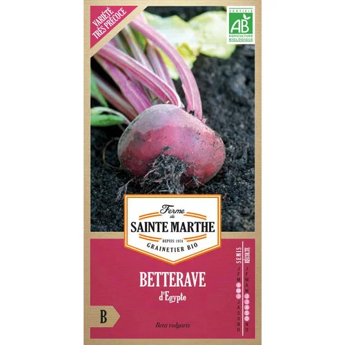 Solution pour le jardin:Graines de betterave potagère d'Egypte bio Ferme de Sainte Marthe - graines à semer
