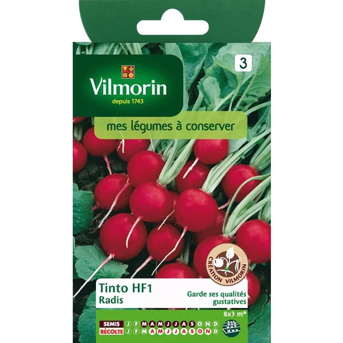 Une sélection pensée pour l’extérieur：Graines de radis tinto HF1 Vilmorin - graines à semer