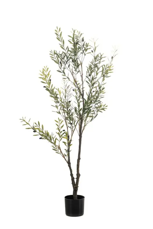 Espace vert essentiel：Olivier artificiel en pot - Ø 60 x H 140 cm