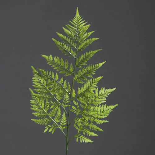 Accessoire pour le jardin：Branche artificielle de fougère verte - 78 cm