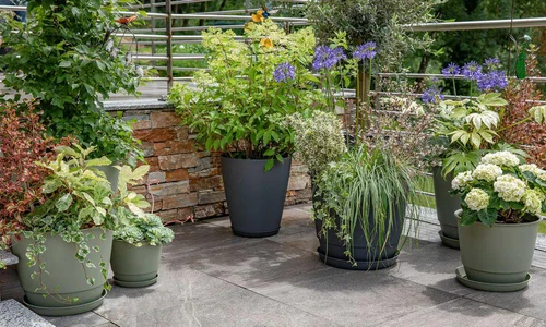 Pour les espaces verts:Soucoupe gris anthracite pour pot Poetic Joy 40 - Ø 30 x H 3,8 cm