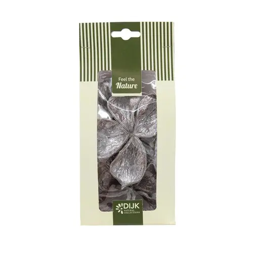 Pour profiter pleinement du jardin:Landlotus argent en sachet - les 4 pièces