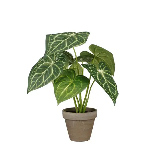 Malin jardin:Plante artificielle Caladium vert en pot gris Stan - Ø 21 x H 28 cm