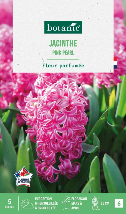 Les incontournables du jardin：Jacinthe pink pearl botanic® - 5 bulbes