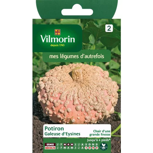 Pour votre espace vert：Graines de courge galeuse Vilmorin - graines à semer