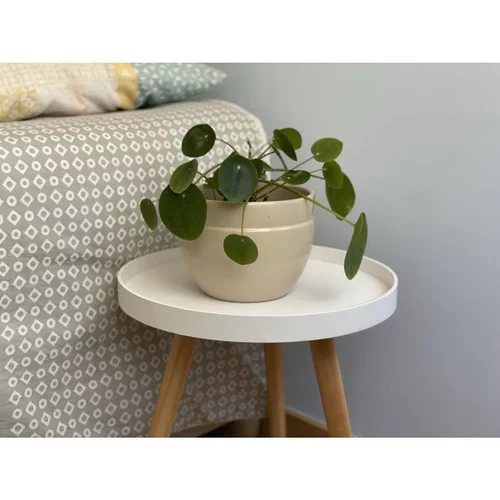 Une solution pour le jardin：Pot coloris beige en terre émaillée Austral - Ø 20 cm