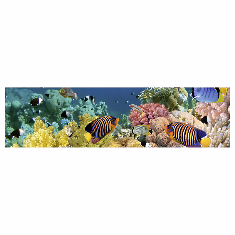 Brise vue imprimé fonds marins AQUALAND – H.0.8 x L.3 m, 100% occultant, Made in France par Scenolia + kit de fixation offert