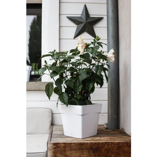 Pour mieux aménager vos extérieurs:Pot carre Toscane Blanc L24,8 x l24,8 x H24