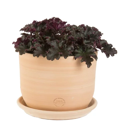 Moderne au jardin:Pot Macetero terre cuite claire D26XH20