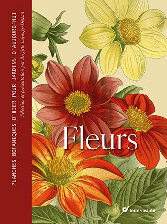 Jardin en pratique:Livre Fleurs de Brigitte Lapouge-Déjean aux Éditions Terre vivante - 288 pages