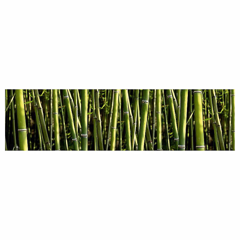 Brise vue imprimé BAMBOOS vert et zen | H.0.8 x L.3 m – 100% occultant – Made in France par Scenolia + kit de fixation offert
