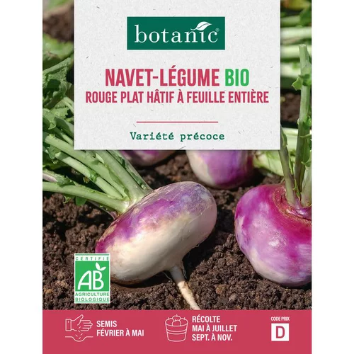 Une touche extérieure:Graines de navet rouge plat hâtif à feuille entière bio botanic® - graines à semer