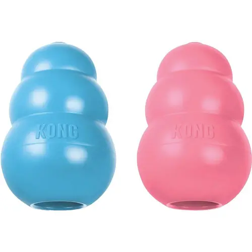 Jardin malin:Kong Puppy M