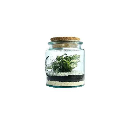 Pour un jardin accueillant:Terrarium autonome Mao L botanic® - Ø 12 x 14 cm