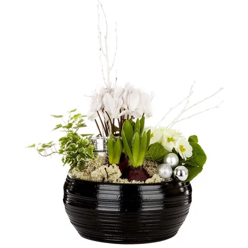 Une sélection pensée pour l’extérieur：Composition festive en coupe céramique noire - La composition