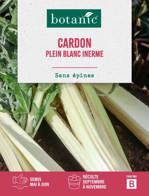 Le compagnon du jardin：Graines de cardon plein blanc inerme botanic® - graines à semer