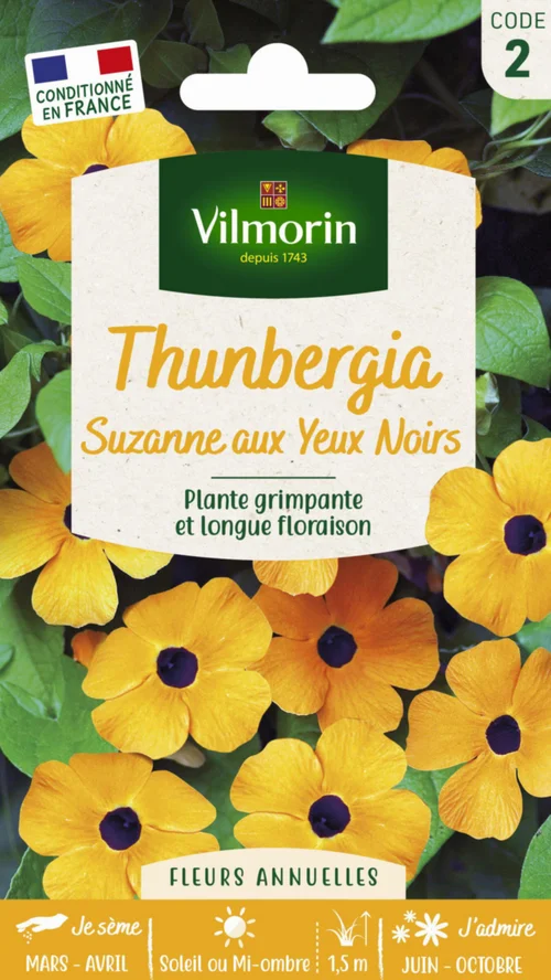 Jardin sélection:Thunbergia Suzanne aux yeux noirs Vilmorin - graines à semer
