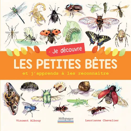 Jardin et confort：Livre "Je découvre les petites bêtes" Éditions Millepages
