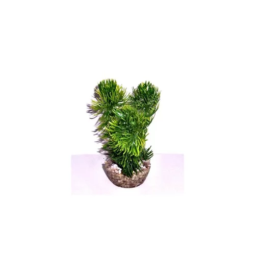 L’allié de vos extérieurs:Mousse verte en plastique petit modèle 13 cm