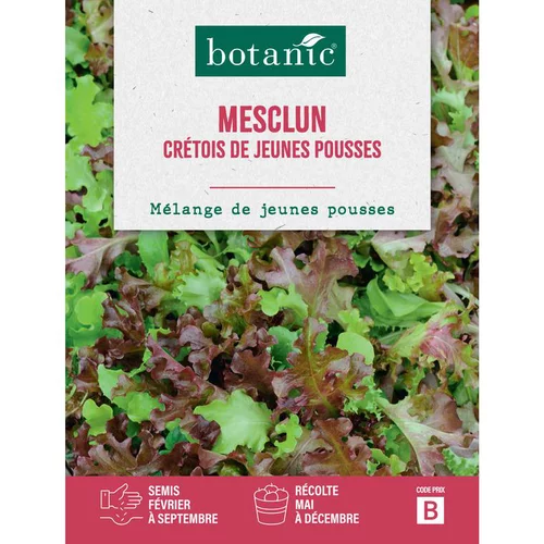 Jardin choix：Graines de mesclun cretois de jeunes pousses botanic® - graines à semer
