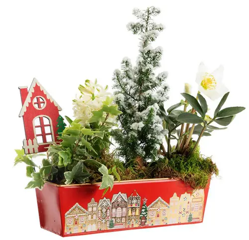 Confort dehors：Composition jardinette zinc rouge décor village - 26 cm
