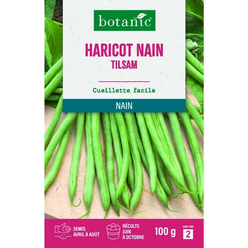 Solution extérieur:Graines d'haricot nain tilsam botanic® - graines nain semer