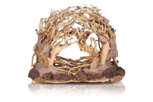 Facile à intégrer à l’extérieur：Décor pour aquarium coloris marron Aquavie Forêt Nature R - Taille MM