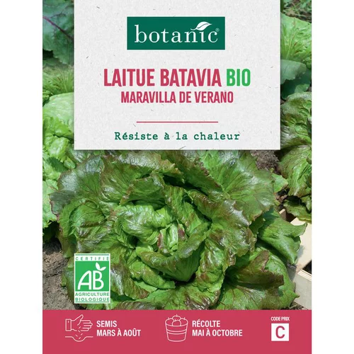 À adopter pour l’extérieur：Graines de laitue batavia merveille de Vérone bio botanic® - graines à semer