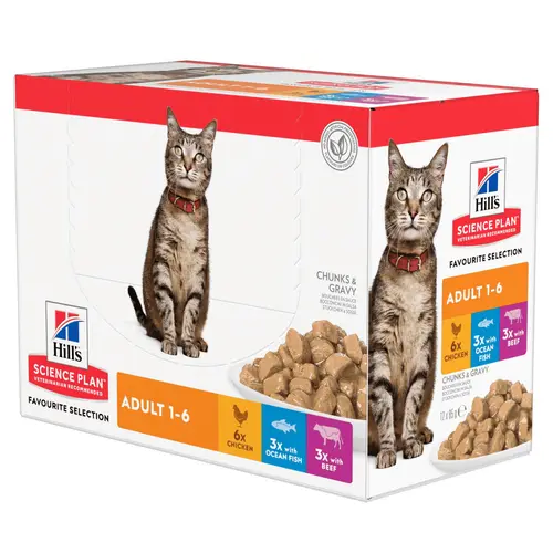 Votre jardin：Pâtée féline adulte multipack 12 x 85 g