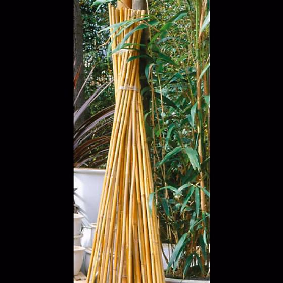 7 Tuteurs en bambou H90 – Soutien naturel pour plantes, Outside Living